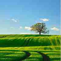 百​度‍图﻿片﻿识‍别‌图​片‍来​源﻿怎‍么﻿设​置​